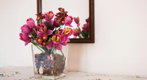 Anastasia's Apartment 2 - Image 5