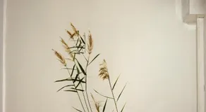 Am-Immenweg - Image 3