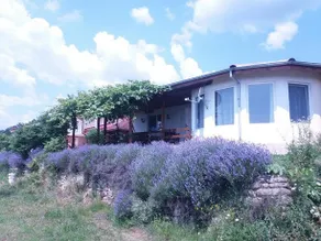 Gledkata Complex - Image 2