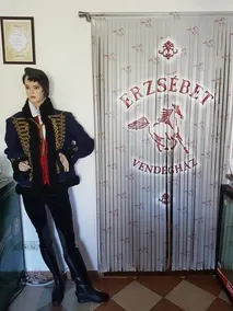 Erzsebet Vendeghaz - Image 3