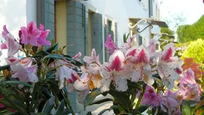 Residenza Serena - Image 5
