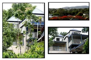 City Treetops - Image 2