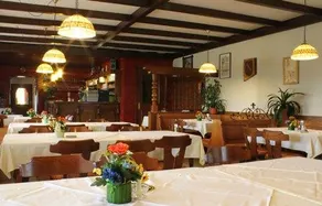 Gasthof Camping Lindenho - Image 4