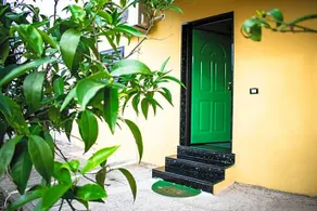 B&B L'Uliveto - Image 3