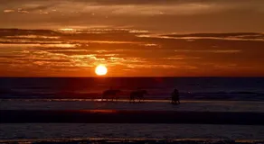 DeHaanStudio - Image 5