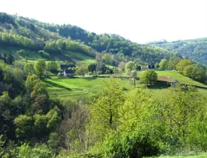 Domaine des Cazottes - Image 4