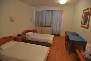 Hotel Bor - Debeli Rtic - Image 4