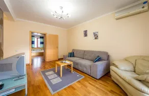 DayFlat na Tryohsvyatitelskoy 3 Apartments - Image 3