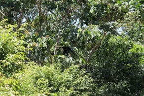 Villa Vistas de San Matin - Image 4