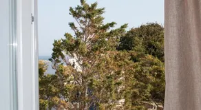 Agnadema - Image 3