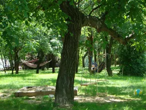 Szederfa Vendeghaz - Image 2
