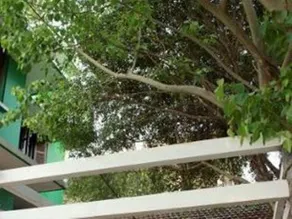 Thien Phu Hotel - Image 5