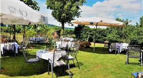 Ferienzimmer Weingut Mack - Image 5
