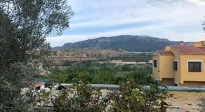 FINCA EL PARAISO - MULA - Image 4