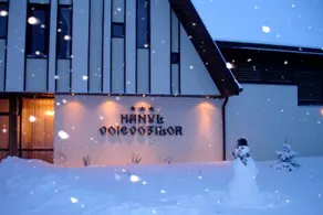 Pension Hanul Voievozilor - Image 4