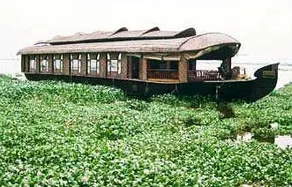 Rainbow Cruises - Image 5