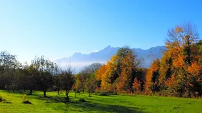 B&B Col Del Vin - Image 4