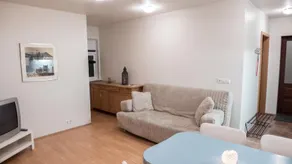 South Central Selfoss Apartment - Image 5