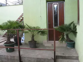 Karpati Motel - Image 2