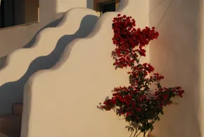 Villa Kampos - Image 2