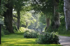 Woodovis Park - Image 4