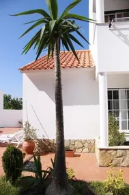 Casa Figueira - Image 2
