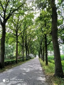 B&B Bij Bijnen - Image 5