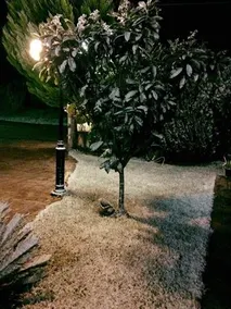 Hotel Melivoia - Image 5