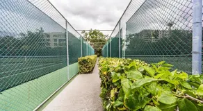 Key Biscayne Best - Image 4