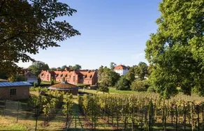 Schlosswirt Meseberg - Image 4