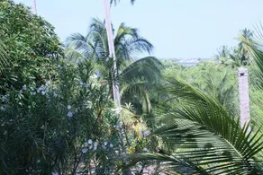 Bate Hospedagem - Image 5