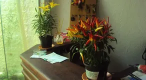 Pousada Farol - Image 3