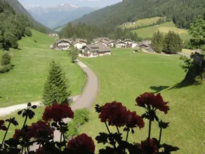 Schölzhorn - Image 5