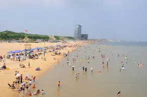 7 Days Premium Laizhou Municipal Government - Image 4
