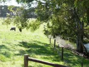 Cygnet River Retreat and Pavilions - Image 4