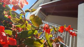 Nevija Bed And Breakfast - Image 5