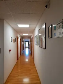 Oasi - Image 2