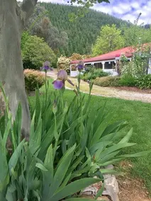 Plantation Hill Homestead - Image 4