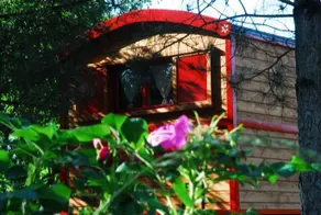 Gypsy Nature B&B - Image 5
