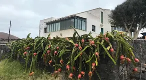 Villa Inuco Experience (Alpha) - Image 4