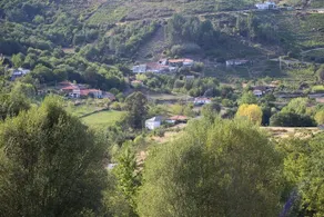 Casa DoDo - Image 5