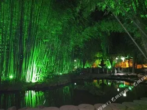 Yinan Wang Laosan Farmstay - Image 4