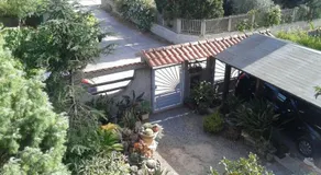 Home & Garden - Image 2