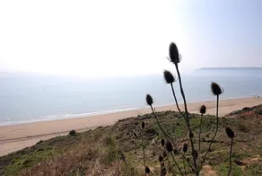 21 Sandown Bay Holiday Centre - Image 2
