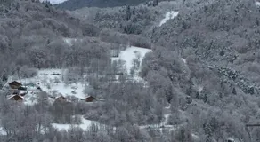 La Niche - Image 3