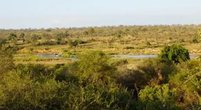 Marloth Park Hippo House - Image 3