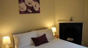 Clover Holidays - New Row - Image 4