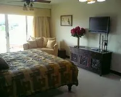 SUPERIOR STUDIO CONDO - PRI 8491 - Image 2