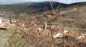 FABULOSO APARTAMENTO EN CAMARENA DE LA SIERRA (TERUEL) - Image 4