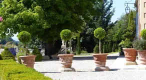 Cottage du Chateau "Les Sources d'Arvory" - Image 4